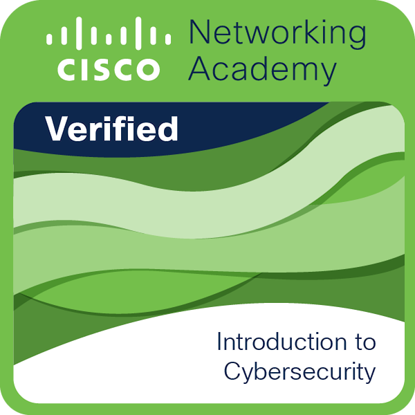 Introduction to Cyber Security